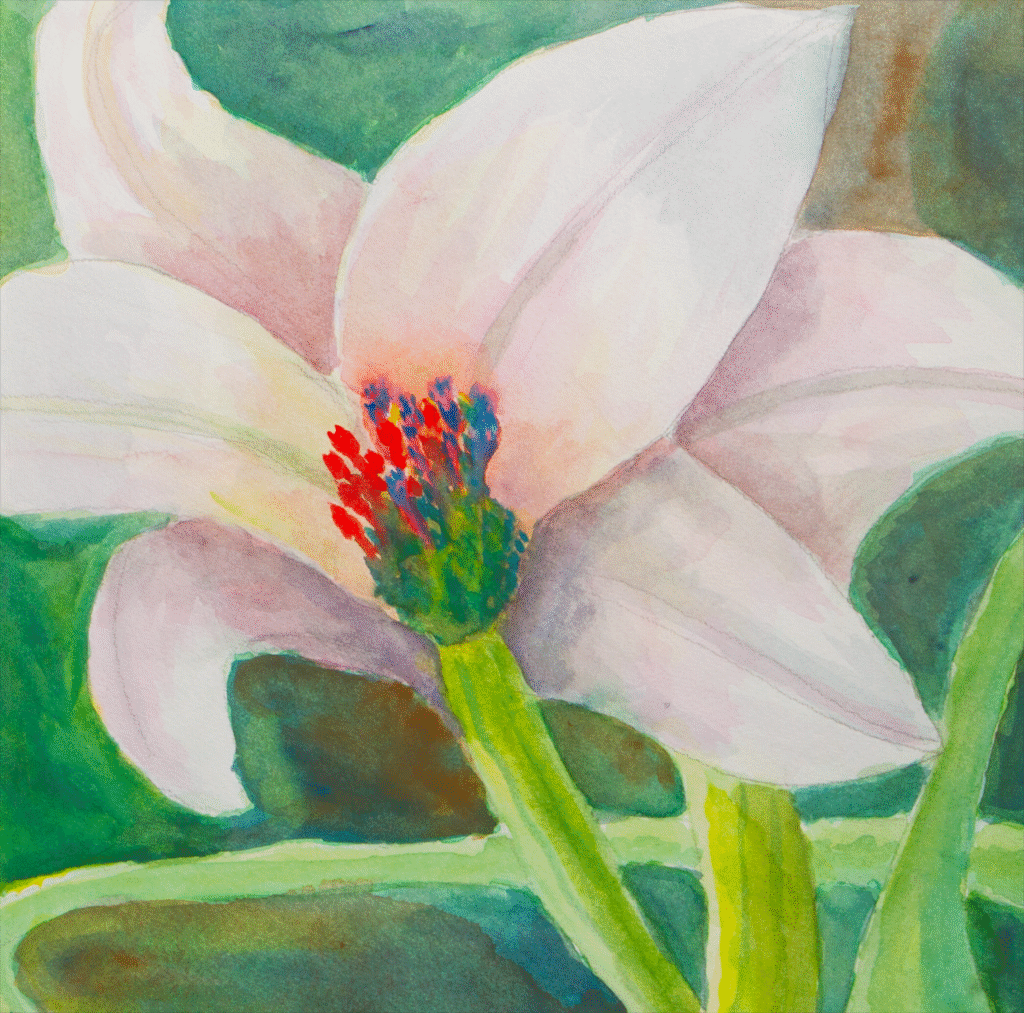 Gallery imgl8750 lily4